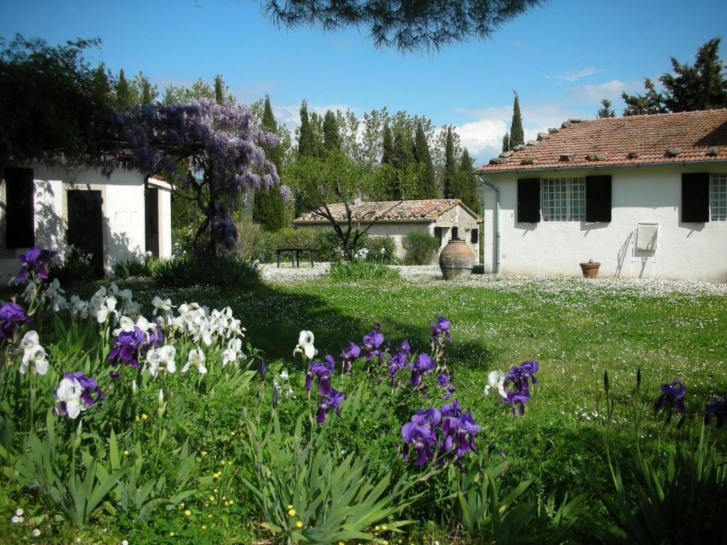 Vignagrande Agriturismo Saturnia Ruang foto